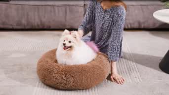Describe the elements of the original donut calming dog bed in the UK.
